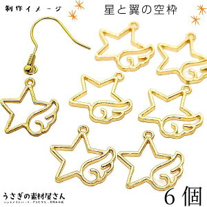  `[ g  t[`[ 17mm 6 S[hF ق ΂  Wg p[c ANZT[p[c ̑fމ FG star wing