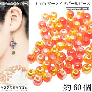 p[r[Y 6mm }[Chp[ 60 bh CG[n IW v r[Y tFCNp[ Of[V C{[  r[Y ANZT[p[c ̑fމ