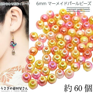 p[r[Y 6mm }[Chp[ 60 sN CG[n v r[Y tFCNp[ Of[V C{[  r[Y ANZT[p[c ̑fމ