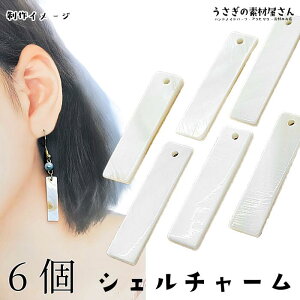 VF`[ WVF XeBbN`[ 30mm 6 ` VF r[Y `[ }  ANZT[p[c ̑fމ sAX CO nhChp[c