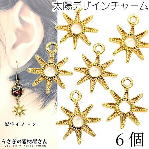 `[ z g `[ 15mm 6  GXjbN SUN S[hF FG ANZT[p[c ̑fމ 悤 nhChp[c  }