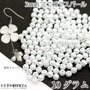 r[Y KXp[ p[r[Y 3mm Xm[zCg  zCgn 10O(180) ~jKXr[Y ANZT[p[c ̑fމ p[