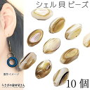 シェルビーズ 9.5mm×5mm 淡水 オーバル 貝 シェルパーツ マリン パーツ 夏 10個