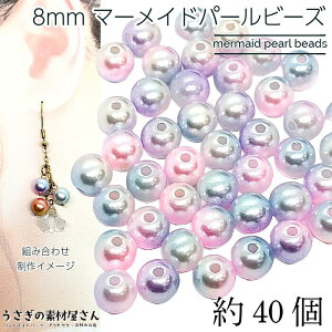 p[r[Y 8mm }[Chp[ 40 CbN sNn v r[Y tFCNp[ Of[V C{[  r[Y ANZT[p[c ̑fމ