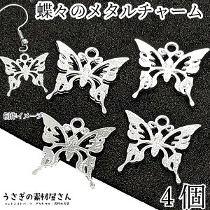 p[c X `[ 16mm 4 Vo[F o^tC 傤 `[ Vv `[ ANZT[p[c ̑fމ nhCh p[c F