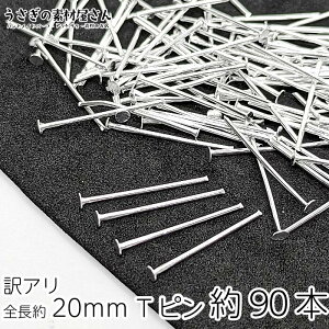 ts b A S20mm Vo[F 90{ jbPt[ ڑp[c sp[c ANZT[p[c ̑fމ  wbhs ANZT[ Ntg