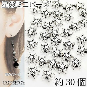 r[Y  ~j 6mm 30 AeB[NVo[F X^[ AeB[N fr[Y  ʂ FG ^ ^r[Y ̑fމ ANZT[p[c