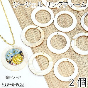 VF`[ V[VF O`[ 30.5mm 2 _ r[Y `[ }  ANZT[p[c ̑fމ sAX CO nhChp[c