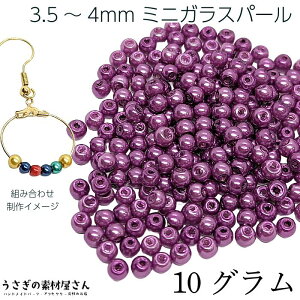 r[Y KXp[ p[r[Y 3.5mm`4mm p[vn F 10O(160) ~jKXr[Y ANZT[p[c ̑fމ p[