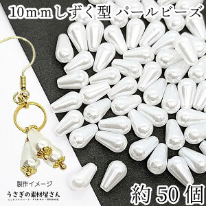 p[ p[r[Y 10mm 50 zCg n hbv ^ cp[  vł nhChp[c ̑fމ ANZT[p[c y y |