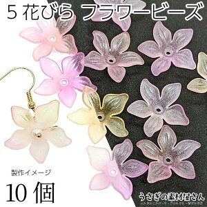 傫 t[r[Y 23mm sN CG[ F Of[VJ[ 10 AN Ԃт Vv t 킢 ԍ nhChp[c ̑fމ 5Ԃт Ԃ̃r[Y