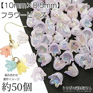 t[ r[Y  `[bv 10mm I[H 50 p[vn CbN F t[p[c ANr[Y nhChp[c ̑fމ