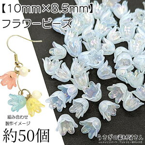 t[ r[Y  `[bv 10mm I[H 50 Cgu[n F t[p[c ANr[Y nhChp[c ̑fމ