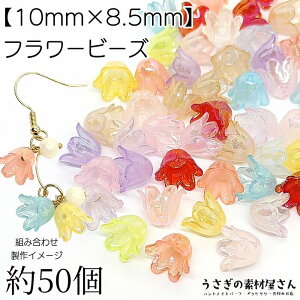 t[ r[Y  `[bv 10mm I[H 50 MIXJ[ t[p[c ANr[Y nhChp[c ̑fމ