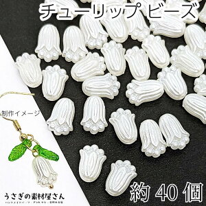 p[ t[r[Y `[bv 11.5mm 40 AN  t[p[c Ԃ̃r[Y nhCh p[c ̑fމ ANZT[p[c ԃr[Y