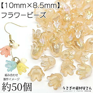 t[ r[Y  `[bv 10mm I[H 50 CguEn t[p[c ANr[Y nhChp[c ̑fމ