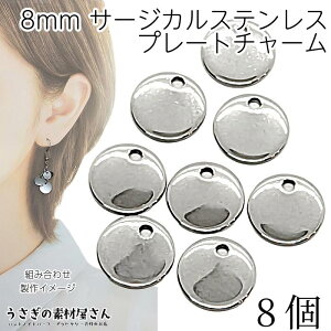 ���^���`���[�� �~�j �v���[�g�`���[�� �T�[�N�� 8mm 8�� �X�e�����X�F ��F �X�e�����X�� �~�j�`���[�� �V���v�� �n���h���C�h�p�[�c �y�� ���^���p�[�c �������̑f�މ�����