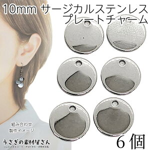 ���^���`���[�� �~�j �v���[�g�`���[�� �T�[�N�� 10mm 6�� �X�e�����X�F ��F �X�e�����X�� �~�j�`���[�� �V���v�� �n���h���C�h�p�[�c �y�� ���^���p�[�c �������̑f�މ�����