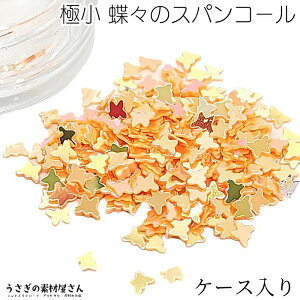 y{3{IőP6{Iz_ڊӃf[^XpR[ X ɏ 2mm×3mm P[X 1(0.5OjlC W p[c IWn I[bL lCA[g nhC