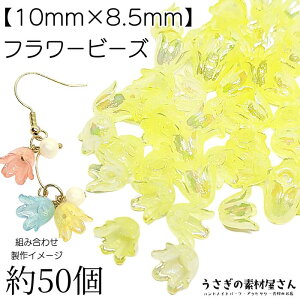 t[ r[Y  `[bv 10mm I[H 50 CG[n F t[p[c ANr[Y nhChp[c ̑fމ