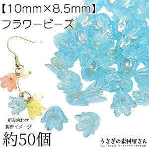 t[ r[Y  `[bv 10mm I[H 50 XJCu[n F t[p[c ANr[Y nhChp[c ̑fމ