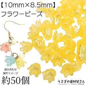 t[ r[Y  `[bv 10mm I[H 50 IWn t[p[c ANr[Y nhChp[c ̑fމ