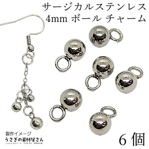 {[`[ T[WJXeX ۋ `[ 4mm XeX XeXF Vo[ F 6 bp[c AWX^[Ghp[c nhChp[c ̑fމ V