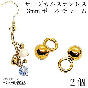 {[`[ T[WJXeX ۋ `[ 3mm XeX S[hF 2 bp[c AWX^[Ghp[c nhChp[c ̑fމ Vv