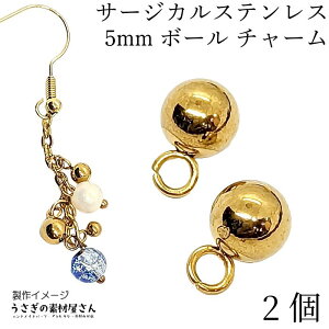 {[`[ T[WJXeX ۋ `[ 5mm XeX S[hF 2 bp[c AWX^[Ghp[c nhChp[c ̑fމ Vv