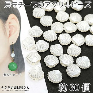 ANr[Y p[ VF L fUC ANr[Y 10mm 30 AC{[n F ʂ L`[t vp[r[Y nhChp[c ̑fމ C } C̐