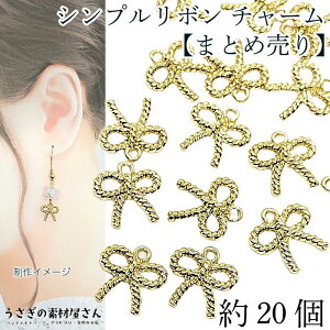 { `[@ꂢ߃S[hF 11mm 20y܂Ƃߔz Vv{ K[[  lC nhChp[c ̑fމ ANZT[p[c