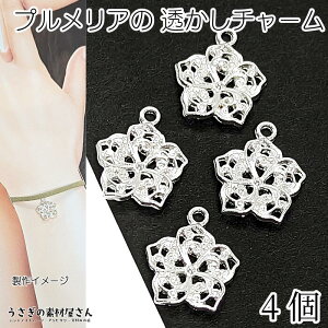 } `[ vA 14.5mm 4 Vo[F t[  `[  fUCp[c ANZT[p[c ̑fމ nCA nhCh p[c