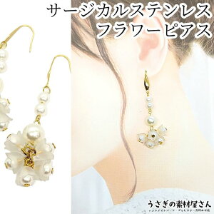 yXP{5{Iz{ő1,000~N[|IhsAX 316XeX T[WJXeXsAX Ԃƃp[sAX zCg 1yA i fB[X XeX 