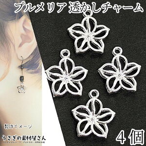 } `[ vA 14mm 4 Vo[F t[  `[  fUCp[c ANZT[p[c ̑fމ nCA nhCh p[c