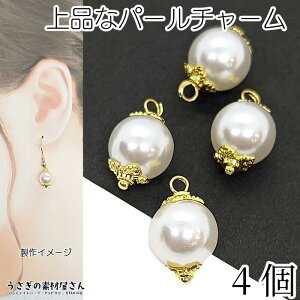 p[`[ zCg F [tfUC̉ԍt F S[hF t 10mm 4 ̑fމ nhChp[c r[YLbvt`[ ANZT[p[c