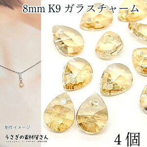  `[ 8mm 4 KX VJbg Vp uEn   bL ANZT[ p[c ̑fމ  r[Y hbv JbgKX nhChp[c