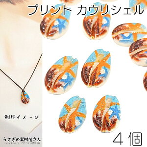 y{3{IőP6{Iz_ڊӃf[^VF r[Y `[ qgf vg p[c X^[tBbV 17mm`20mmx JEVF 蔲 L ̑fމ VFp[