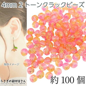 KXr[Y 4mm 100 NbNr[Y sN CG[n  Of 2g[ NbNr[Y ANZT[p[c ̑fމ nhCh p[c