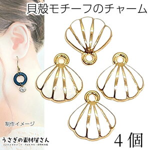 } `[ 8mm 4 zCg F L`[t J[`[ 썑 nCA Lk VF fUCp[c ANZT[p[c ̑fމ M ẴnhChp[c