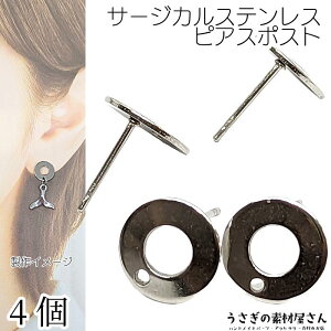 sAX T[N T[WJXeX 10.5mm 4i2yAjXeXF F  sAXp[c nhCh p[c ̑fމ ANZT[p[c