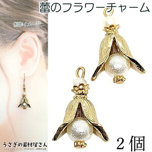 p[`[  `[ A 23mm 2 ̑fމ t[  ڂ nhChp[c ̑fމ ANZT[ p[c A flower