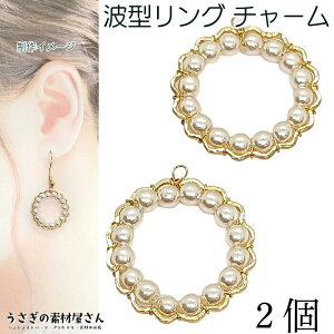 y{3{IőP6{Iz_ڊӃf[^`[ gT[N O p[`[ g^ 24mm 2 p[t[ `[ Vv i ANZT[p[c ̑fމ A