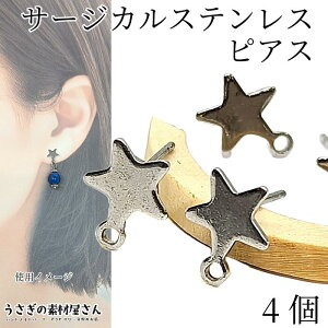 T[WJXeX sAX  8mm 4i2yAjXeXF F Jt sAXp[c nhCh p[c ̑fމ ANZT[p[c