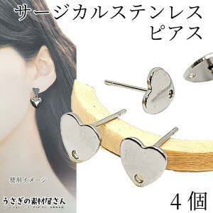 sAX n[g T[WJXeX 8mm 4i2yAjXeXF F  sAXp[c nhCh p[c ̑fމ ANZT[p[c