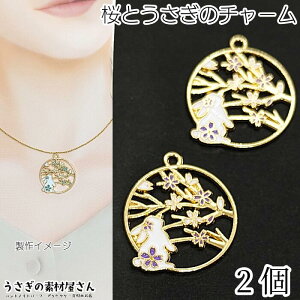   `[ 25mm 2 p[vn e  J[`[ a Gi `[ ANZT[p[c ̑fމ nhChp[c ETM