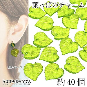 yXP{5{Iz{ő1,000~N[|I`[ t [t r[Y 15mm 40 [tr[Y CgO[ t A  ̑fމ nhChp[c lC A