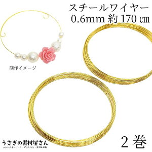 X`[C[ a 0.6mm [C[ `L 170cm 2Zbg S[hF uXbg ANZT[p[c ̑fމ nhCh p[c