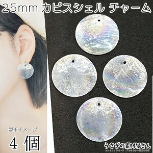 JsXVF `[ 25mm 4 ABJ[ T[N tbg L } VFp[c VRf ẴnhChp[c ̑fމ ANZT[p[c