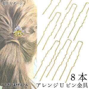 񂴂p[c Us  62mm 8{ S[hF wAANZT[ wAs wAANZT[p[c nhChp[c ܂ݍ׍Hɂ   