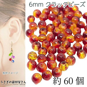 KXr[Y 6mm NbNr[Y bh CG[n  Of[V2g[J[ NbN Eh r[Y ANZT[p[c ̑fމ nhCh p[c